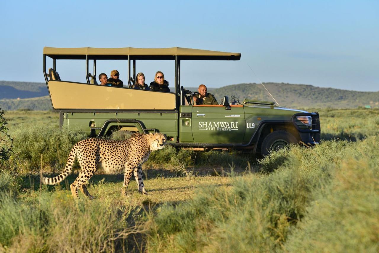 Shamwari Eagles Crag Villa Port Elizabeth Buitenkant foto