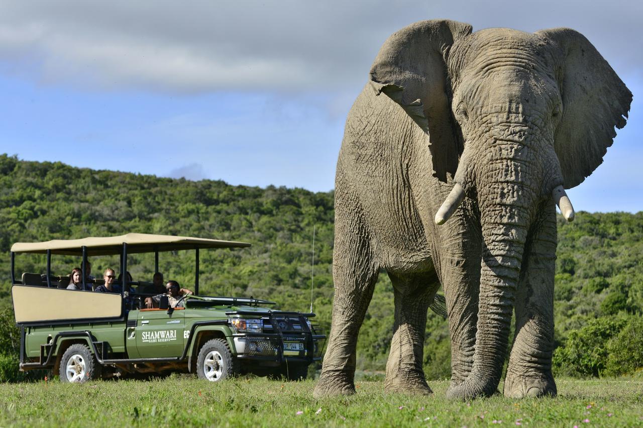 Shamwari Eagles Crag Villa Port Elizabeth Buitenkant foto